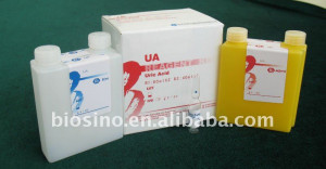 uric acid gout