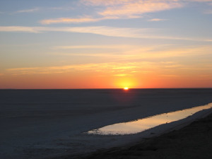 sun wikiblack sun rising wikiempire rising sun wikirising sun movie ...