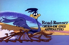 road runner cartoon