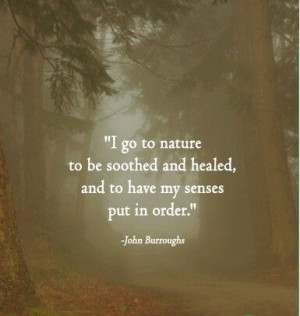 ... and healed and to have my senses put in order john burroughs # quotes