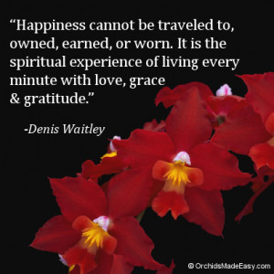 03-happiness-spiritual-experience-300x300.png