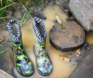 ... been truly 'mud-lusious' and 'puddle-wonderful' to quote E E Cummings