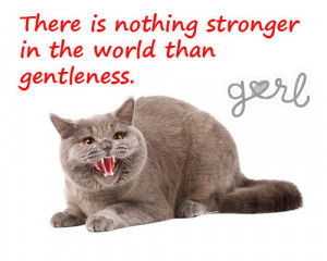 10 Angry Cats Meet Inspirational Quotes