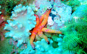 Jim M Quote ÃƒÆ’Ã‚Â¢ÃƒÂ¢Ã¢â‚¬Å¡Ã‚Â¬ÃƒÂ ...