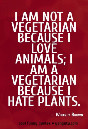 Vegetarian Because...