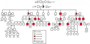 TRANSMISSION OF HEMOPHILIA IN QUEEN VICTORIA'S FAMILY TREE