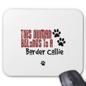 Border Collie Funny Sayings