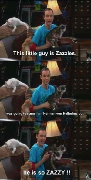 Related Pictures sheldon cooper quotes the big bang theory