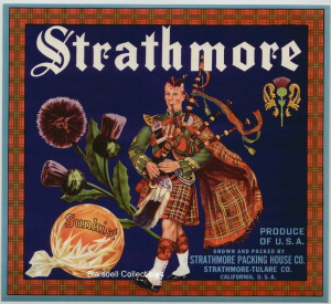 STRATHMORE~SCOTTISH BAGPIPE~ORIGINAL 1930s AUTHENTIC ORANGE FRUIT ...