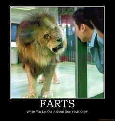funny fart quotes