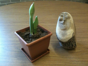 Self Management In The Workplace