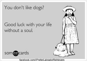 You don't like Dogs? Good luck.