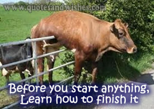 funny pictures 1 Funny picture message on work Learn to finish your ...
