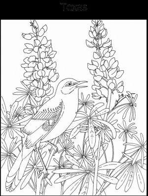 Cindy Ray 1962 Courtesy Randy Johnson Picture