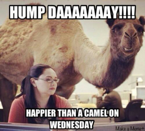 Related Funny Hump Day Quotes Happy