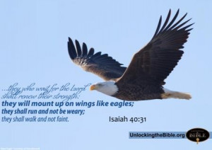 They Will Be Mount Up On Wings Like Eagles Shall Run And Not Be Weary ...