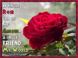 ... single rose can be my garden a single friend my world friendship quote