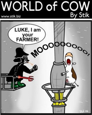 funny-star-wars-pictures