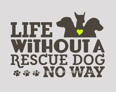 Rescue Dog Quote Wall Decor Choose Fine Art Gallery by ThePawPrint, $ ...