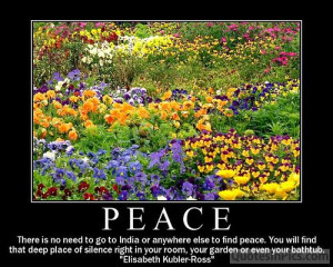 There Is No Need To Go To India or Anywhere Else To Find Peace….