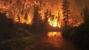 Fire ravages the Alaskan wilderness ( Flickr/Image Editor )