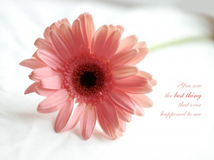 Love Quotes and Sayings