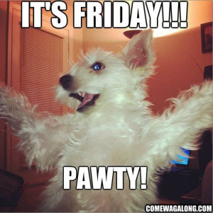 Its friday, pawty! funny party dog friday happy friday friday quotes