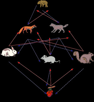 food web arctic tundra map arctic fox food chain arctic tundra food
