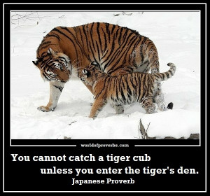 Famous Quotes: You cannot catch a tiger cub unless you enter the tiger ...