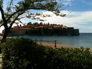 Angela Montenegro Quotes