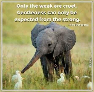 Most precious baby elephant ever. Awesome quote too