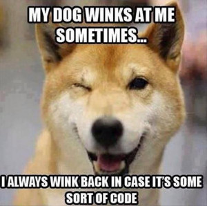 ... at me sometimes... I always wink back in case it is some kind of code