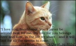 love you , Sandstorm. You’ll never be second-best for me. My love ...