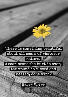 is something beautiful about all scars of whatever nature. A scar ...