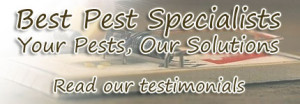 Best Pest Specialists - Cheap Pest Control Northmead