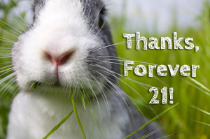 youth animal rights group, shared the good news of victory for rabbits ...