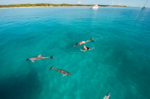Swimming with dolphins near Great Exuma