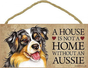 Australian Shepherd Dog Lover Collection: Australian Shepherd Dogs ...