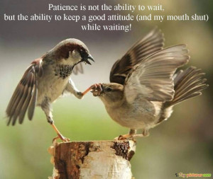 quotes-about-funny-good-morning-and-the-picture-of-the-birds-good ...