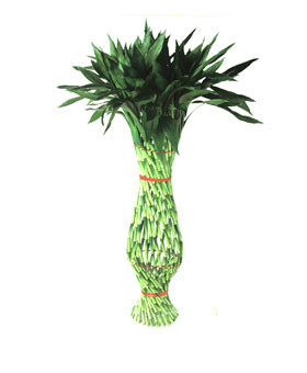 Funny Quotes Contact Us DMCA Notice