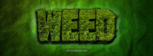 list of weed quotes facebook cachedweed timeline covers weed facebook