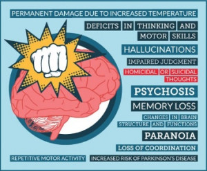 Adverse effects of meth on the brain (INFOGRAPHIC)