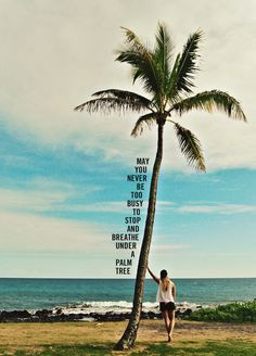 ... May you never be too busy to stop and breathe under a palm tree.