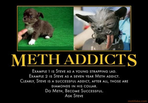 photo meth-addicts-dog-meth-addict-demotivational-poster-1257988391 ...