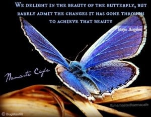 Beauty of butterfly change Maya Angelou quote via Namaste Cafe at www ...