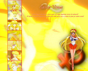 Sailor Venus Wallpaper by stellinabg