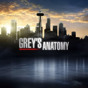 greys anatomy quotes greysqts tweets 15 8k following 242 followers ...