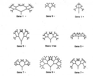 40 The Blind Watchmaker