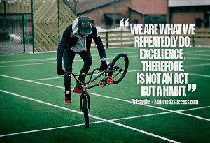 if your habits are those of a successful happy productive hard working ...