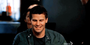 Booth-seeley-booth-25180601-488-249.gif?1360861017902